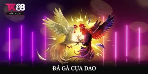 Đá Gà Cựa Dao