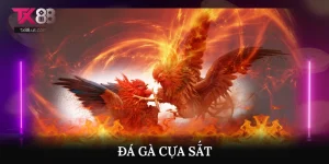 Đá Gà Cựa Sắt