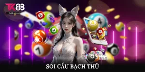 Soi Cầu Bạch Thủ