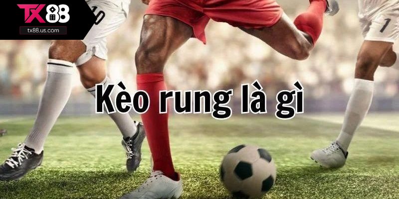Tìm hiểu cơ bản về kèo rung