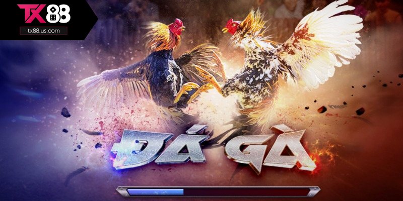 Vài nét về sảnh đá gà TX88